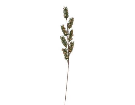 Ramura de brad 66cm